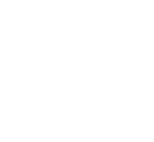 ASD Palestrina Running